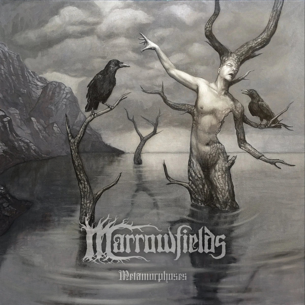 Marrowfields - Metamorphoses Digipak CD